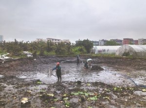 吉县河道鱼塘清淤